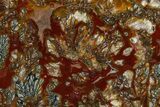 Colorful Polished Marcasite Agate Slab - Indonesia #378131-1